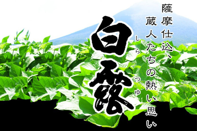 鹿児島県/白露酒造(白露・岩いずみ)