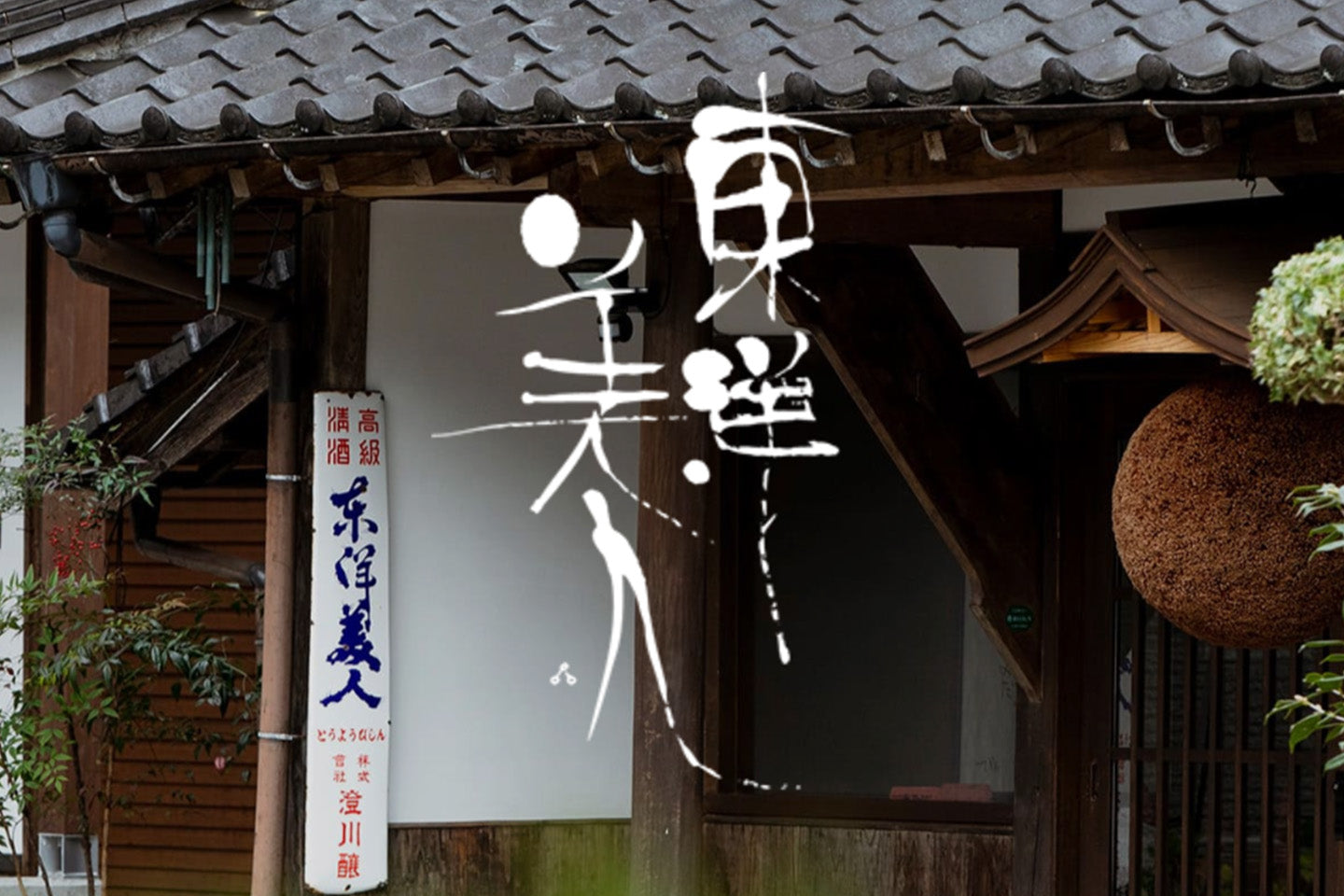 No.0413 寒菊 くどき上手 東洋美人 作 山形正宗 松の司 山口県／澄川酒造場（東洋美人） – 地酒専門店 酒のうちやま
