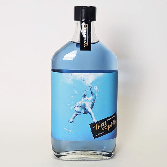 ジン_国産/Water Dragon _Teen Spirits(ティーン・スピリッツ)