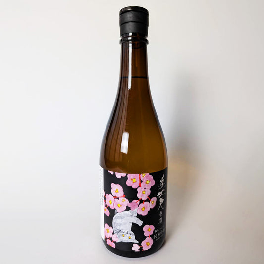 Bijofu Junmai Ginjo Spring Sake (Reiwa 6 brewing year)