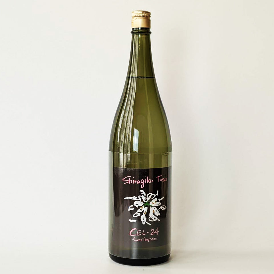 土佐しらぎく Shiragiku Tosa CEL-24（令和7醸造年度） – 地酒専門店