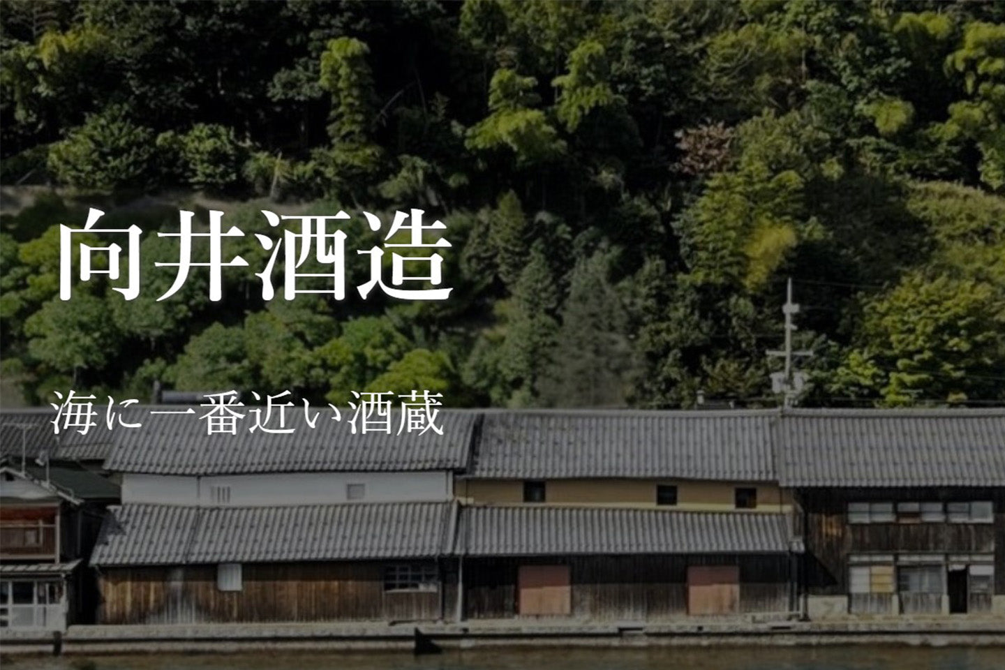 京都府/向井酒造(伊根満開)