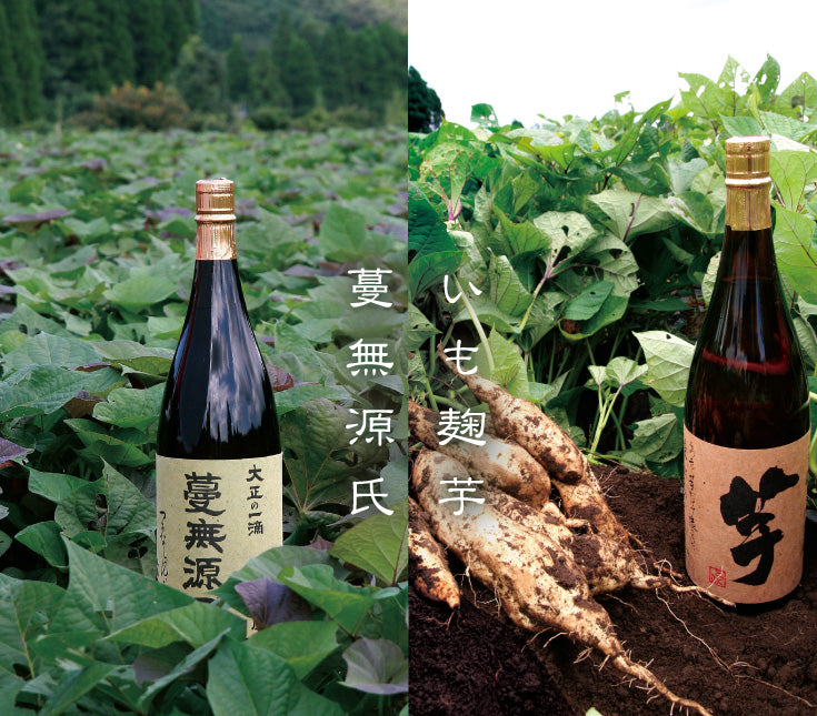鹿児島県/国分酒造(安田・フラミンゴオレンジ)