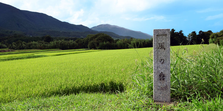 油長酒造、代表ブランドは「風の森」