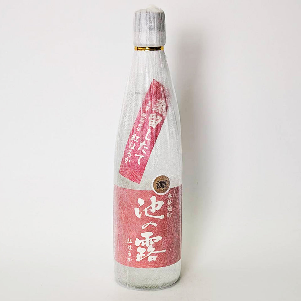 芋焼酎_天草酒造／池の露 紅はるか 原酒 2025 新焼酎