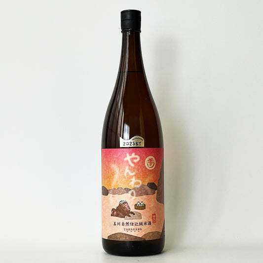 玉川（たまがわ）山廃純米 やんわり 2023BY